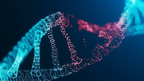 Terapia CAR-T: kiedy i dla kogo?