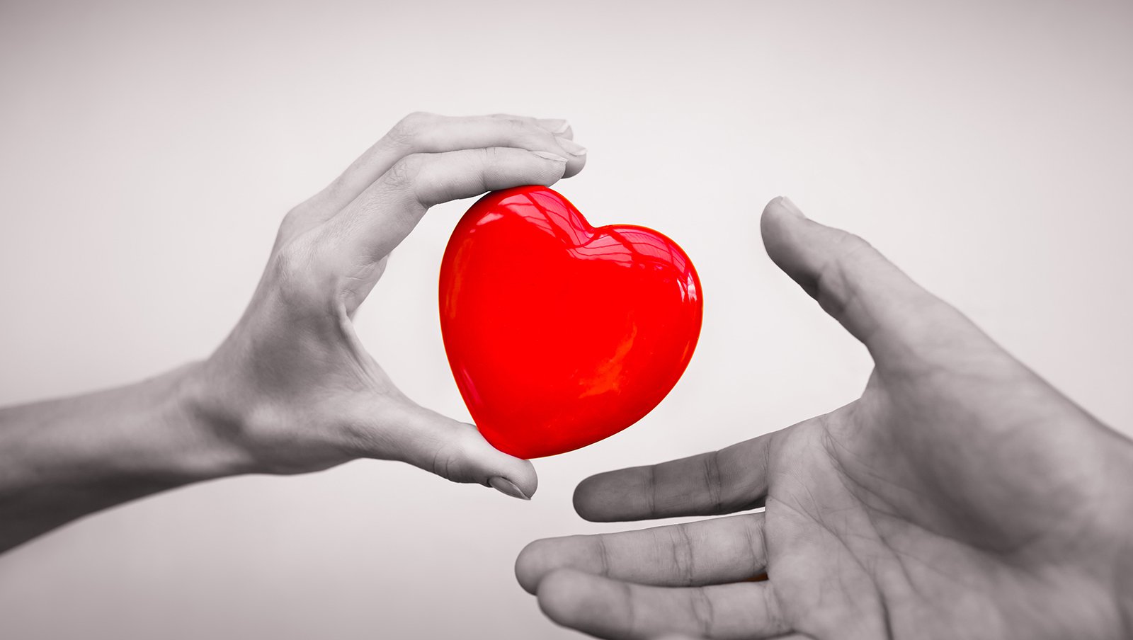 10 milionów potencjalnych Dawców szpiku w światowej bazie Fundacji DKMS
