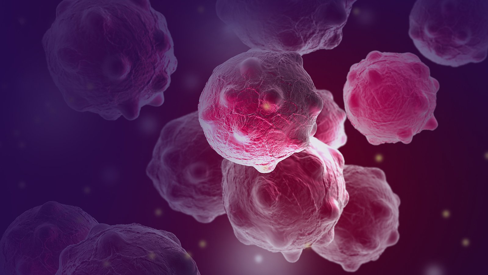 CAR-T CD22 dla dzieci i dorosłych z nawrotem B-komórkowej ostrej białaczki limfoblastycznej po immunoterapii anty – CD19