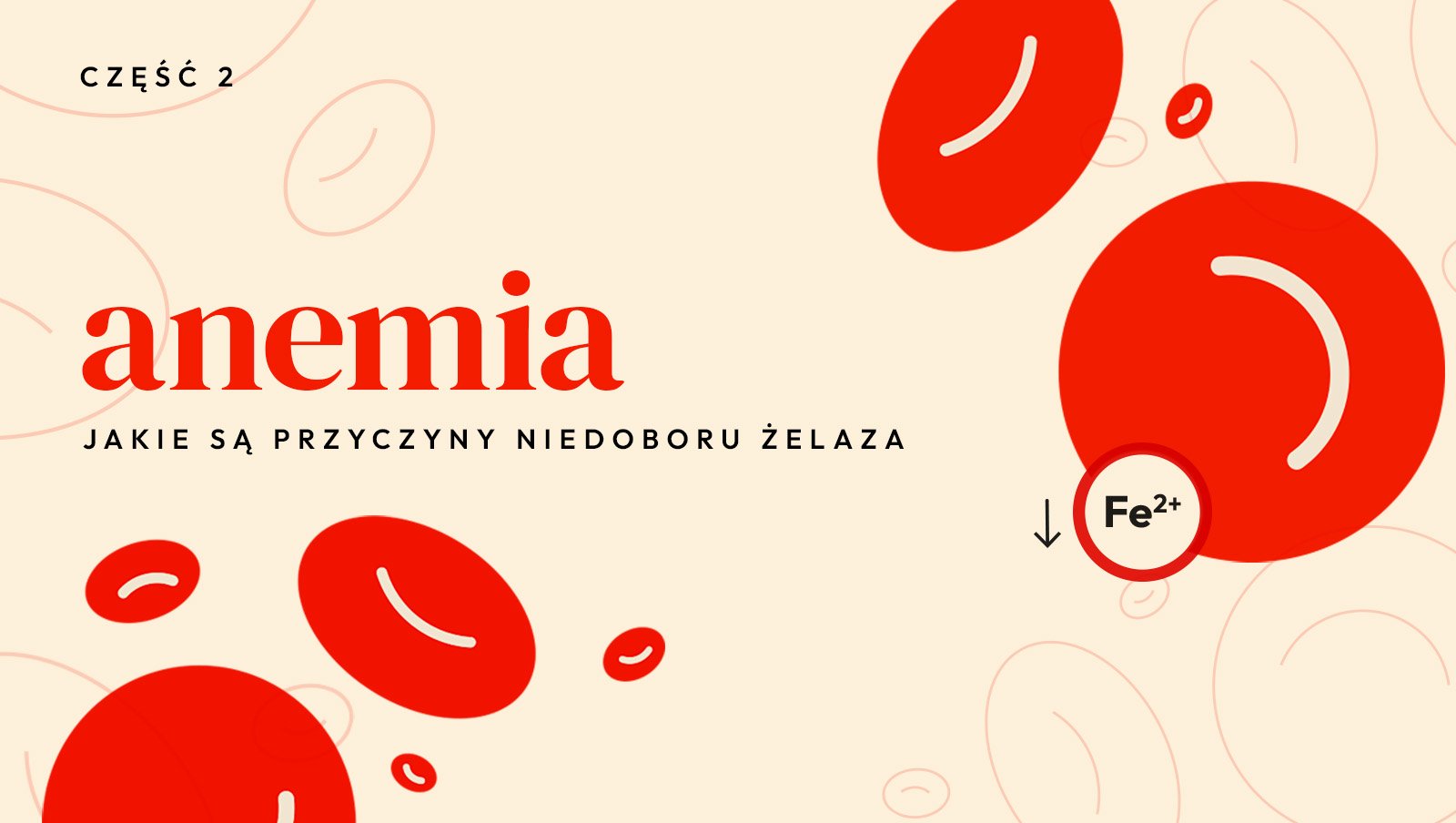 Anemia. Jakie są przyczyny niedoboru żelaza? | Cz.2