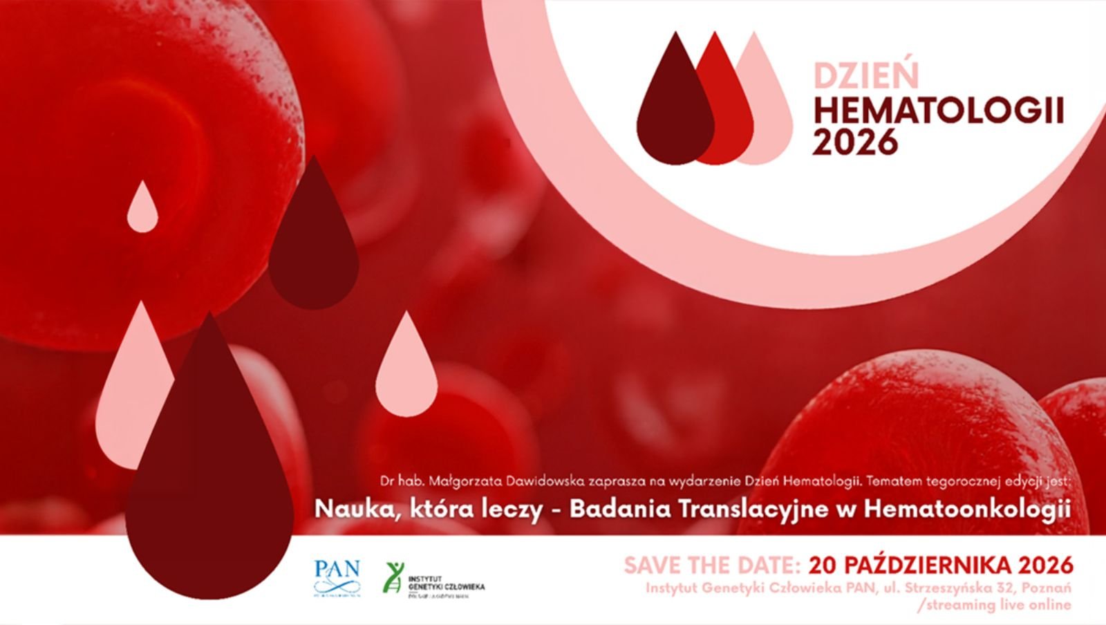 Dzień Hematologii 2026: nauka, która leczy – badania translacyjne w hematoonkologii