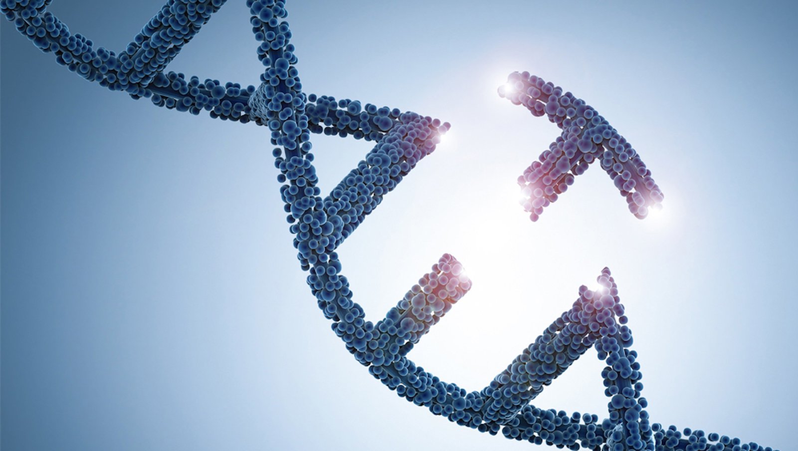 „Niewidoczna” utrata heterozygotyczności w komórkach nowotworowych