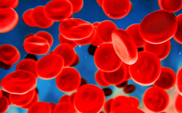 Hemofilia A i B: molekularne i kliniczne podobieństwa i różnice