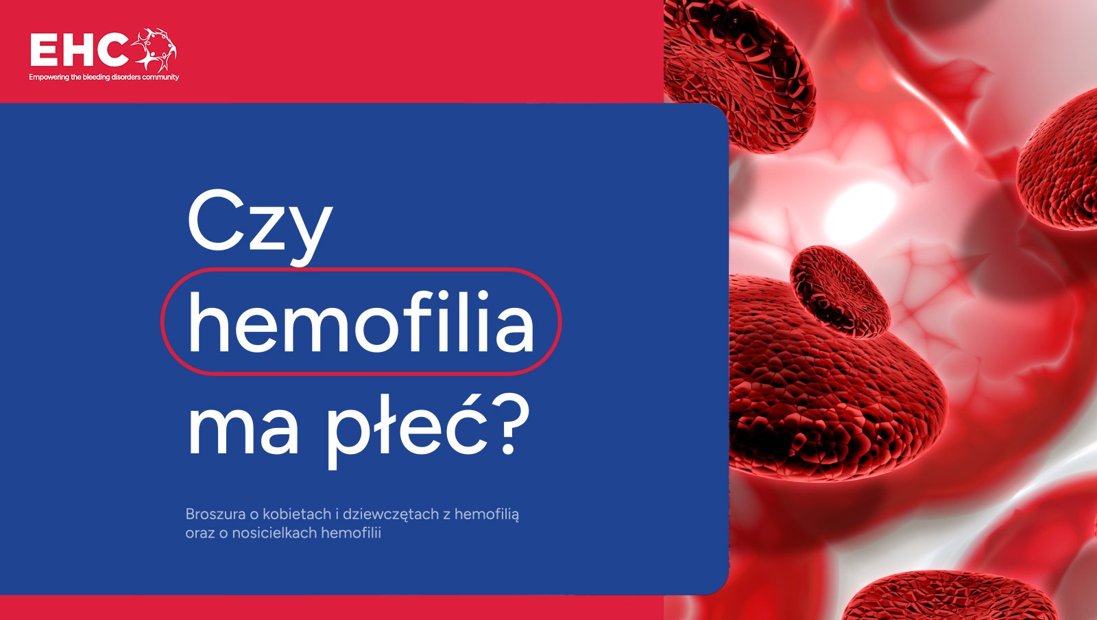 Czy hemofilia ma płeć? | Wersja polska już dostępna!