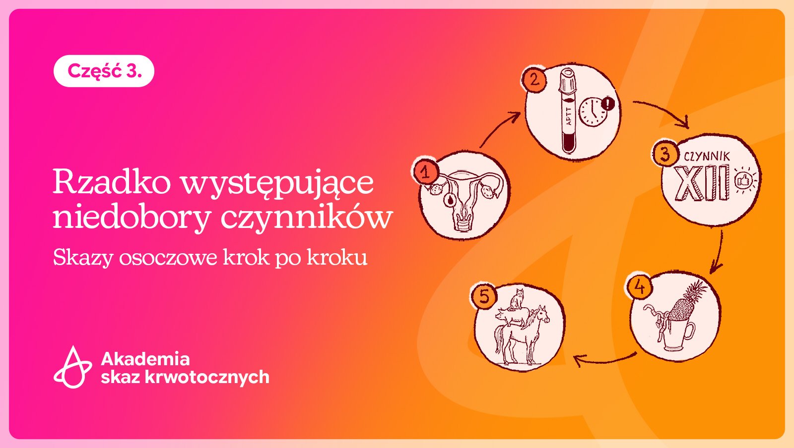 Rzadko występujące niedobory czynników. Skazy osoczowe krok po kroku | Cz. 3