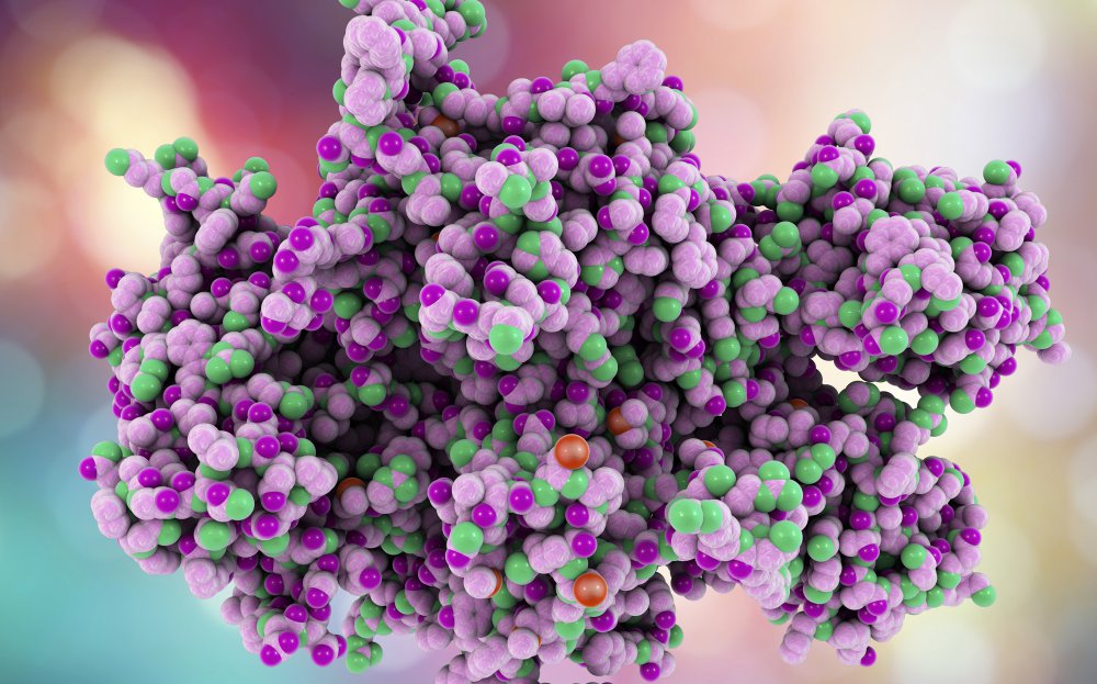 Mała częstotliwość występowania inhibitora do czynnika VIII u wcześniej nie leczonych pacjentów (PUPs) z ciężką hemofilią A leczonych OCTANATE - raport końcowy badania prospektywnego