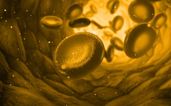 Mechanizm przedłużenia aktywności czynników krzepnięcia z frakcją Fc immunoglobulin
