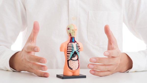 Mięsaki tkanek miękkich (MTM; soft tissue sarcoma; STS)