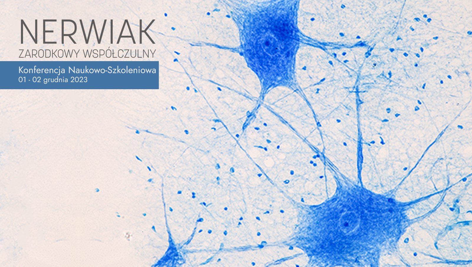 Relacje cyfrowe z konferencji „Nerwiak zarodkowy współczulny. Konferencja Naukowo-Szkoleniowa”