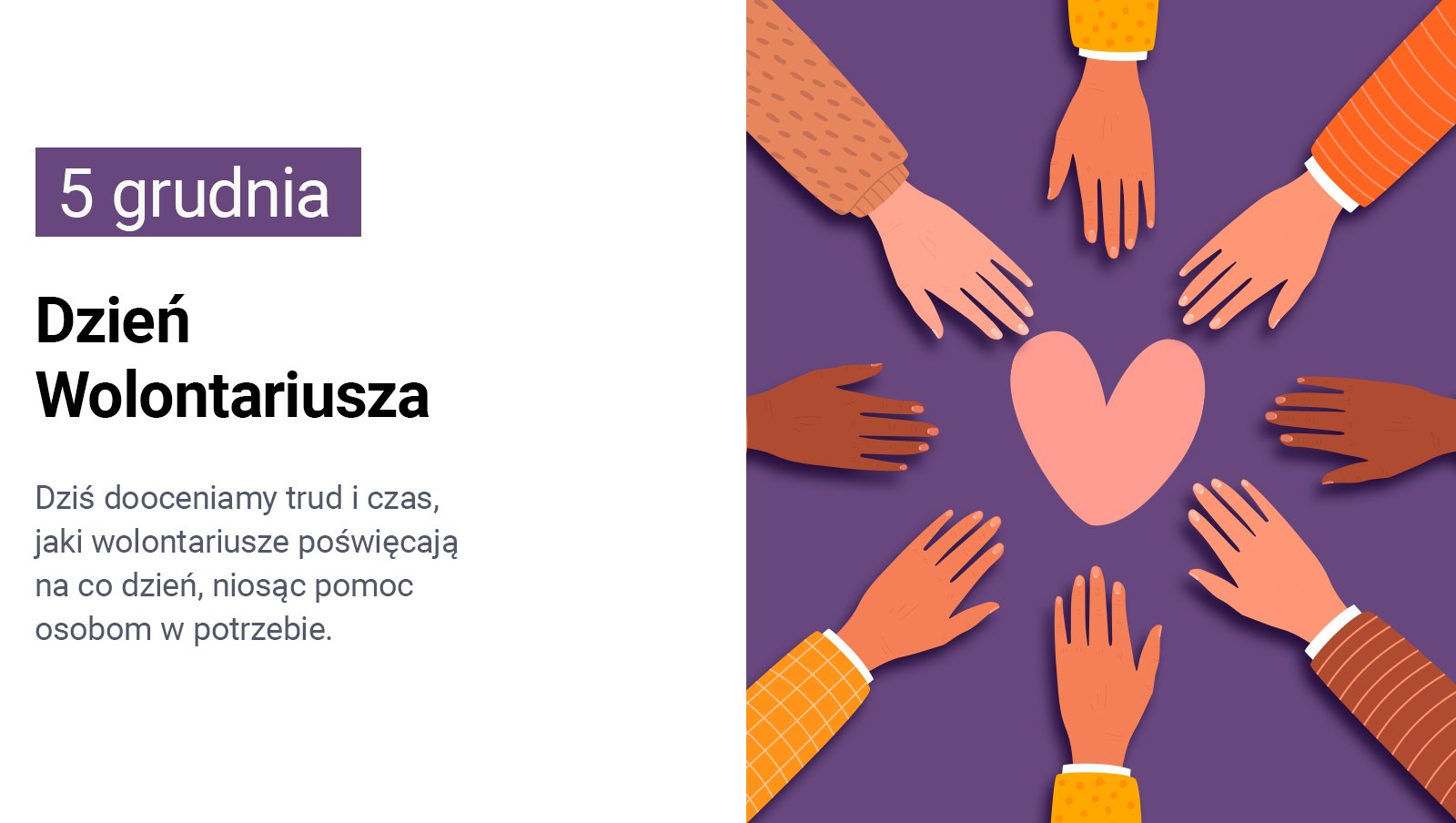 Pomaganie uzależnia - o działalności Fundacji "Pomóż Im" i ważnej roli wolontariuszy