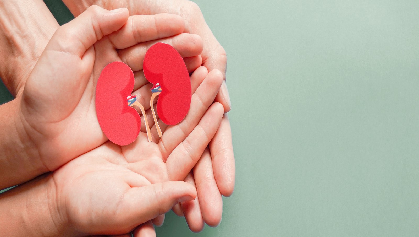 Ekulizumab w leczeniu atypowego zespołu hemolityczno-mocznicowego u dzieci po transplantacji macierzystych komórek krwiotwórczych w materiale japońskim