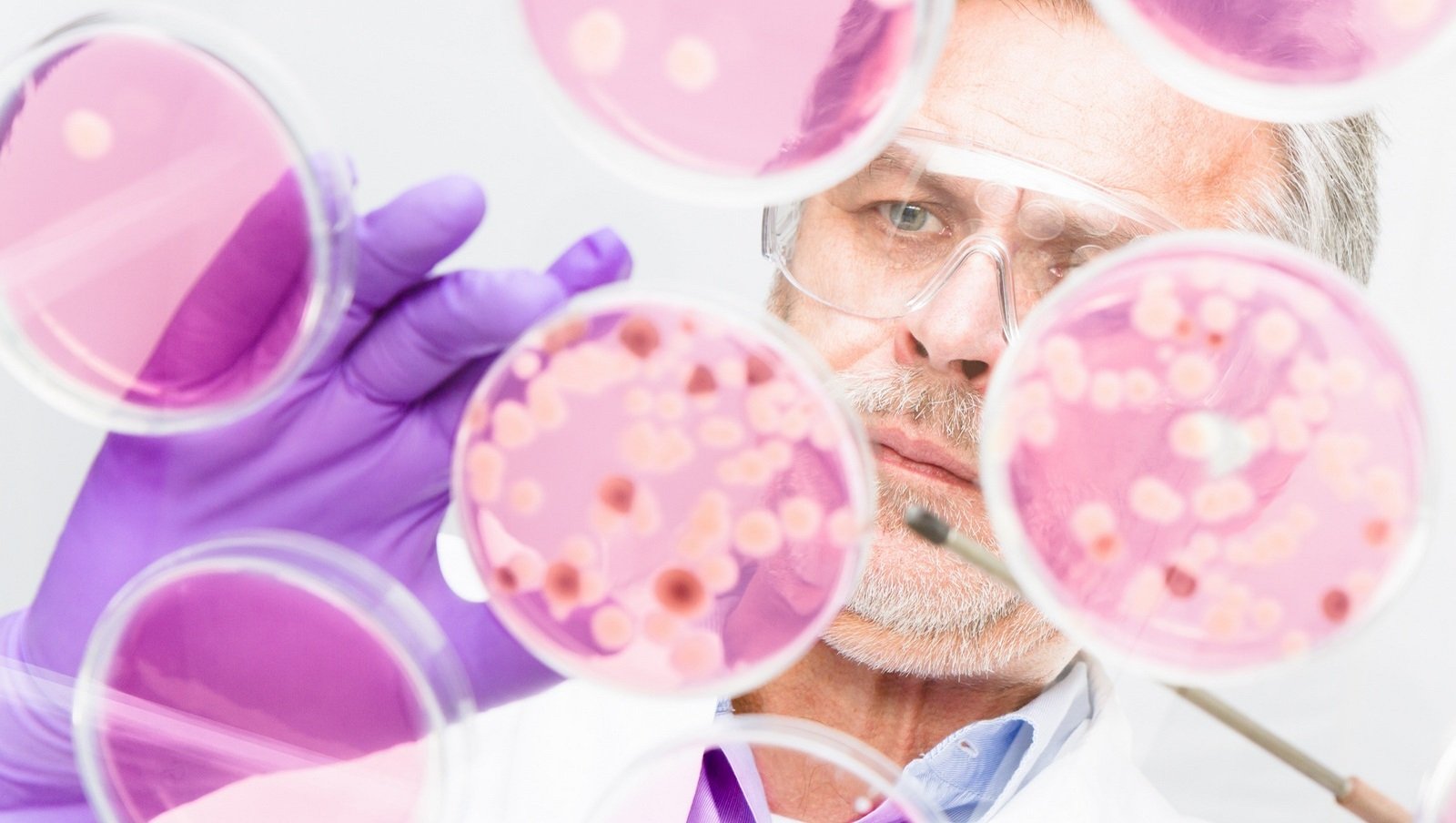 Skuteczność leczenia podtrzymującego blinatumomabem w ALL i LL po allogenicznej transplantacji macierzystych komórek krwiotwórczych