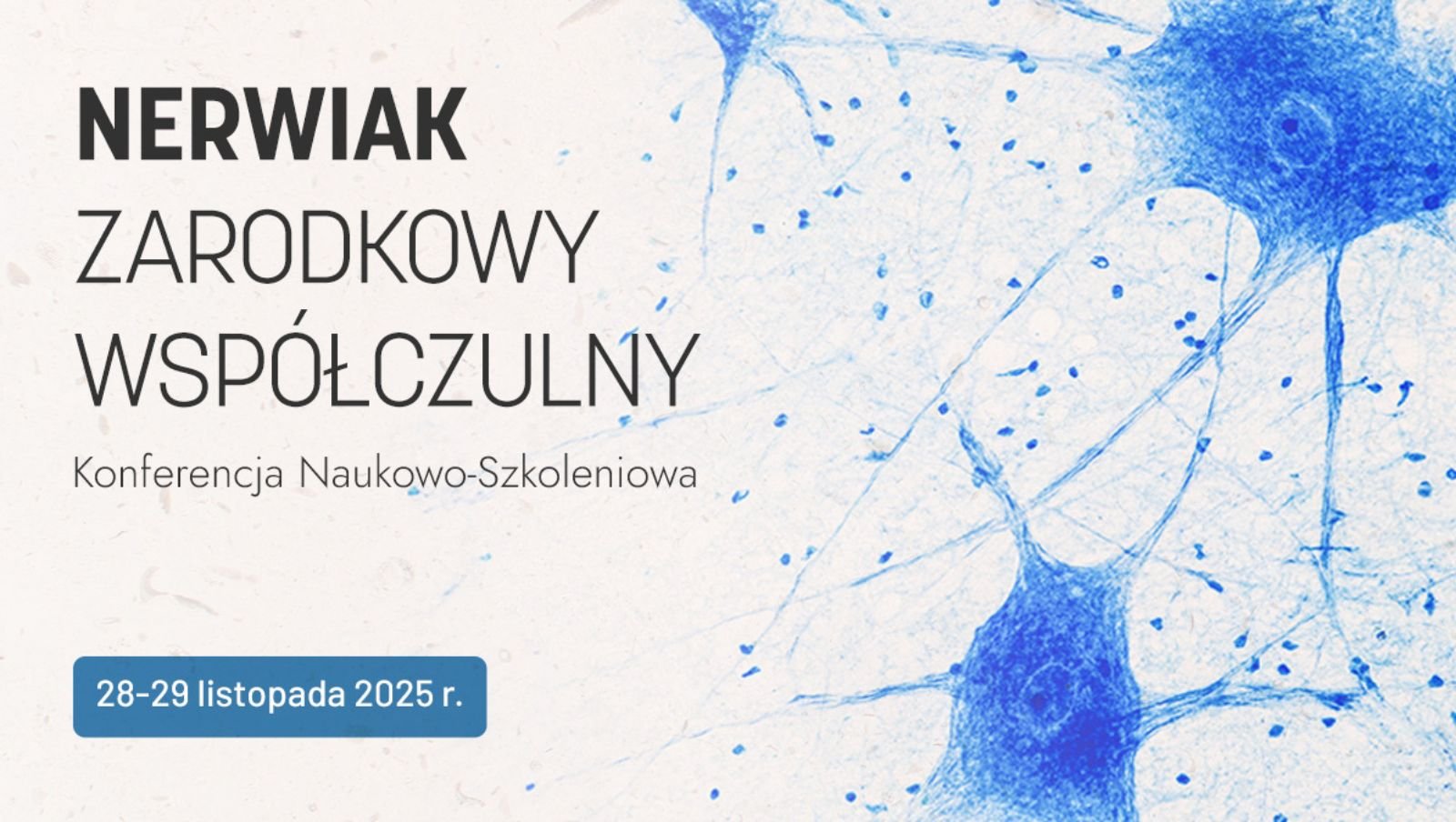 Nerwiak zarodkowy współczulny | Konferencja Naukowo-Szkoleniowa
