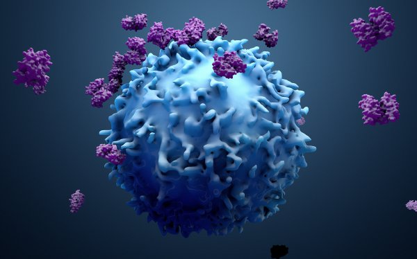 Rola immunoterapii w leczeniu ostrej białaczki limfoblastycznej