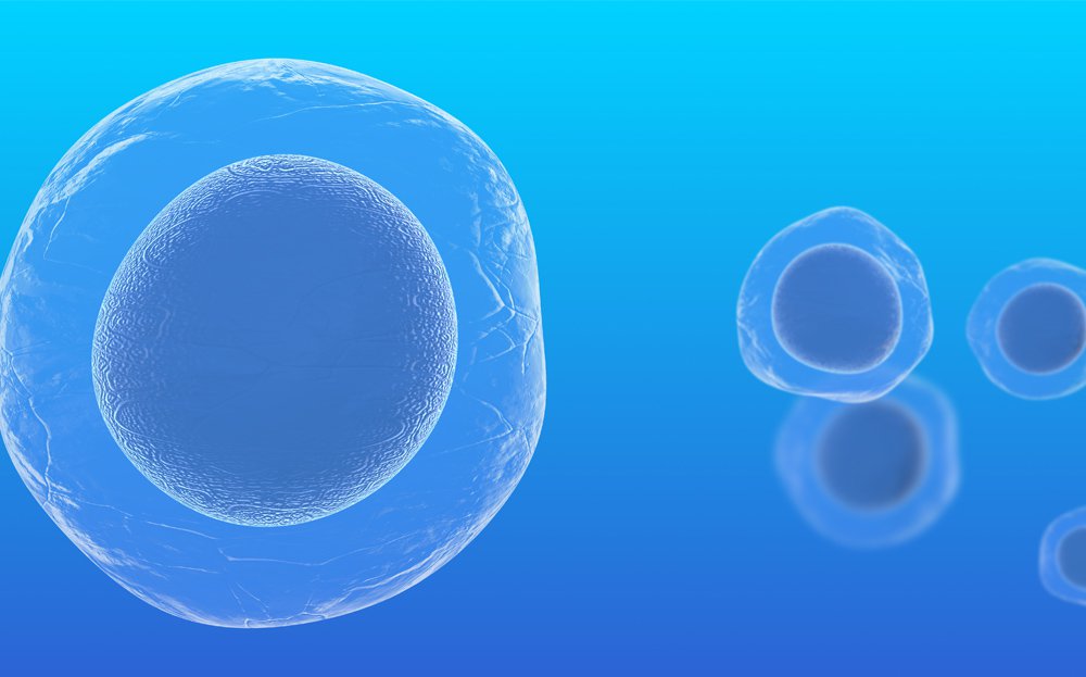 Tisagenlekleucel – terapia komórkowa CAR-T firmy Novartis zarejestrowana przez Komisję Europejską