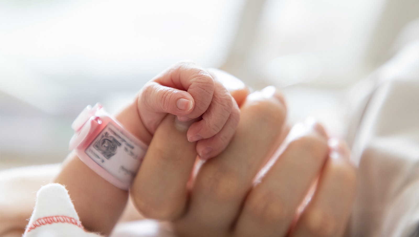 Blinatumomab u niemowląt z ostrą białaczką limfoblastyczną