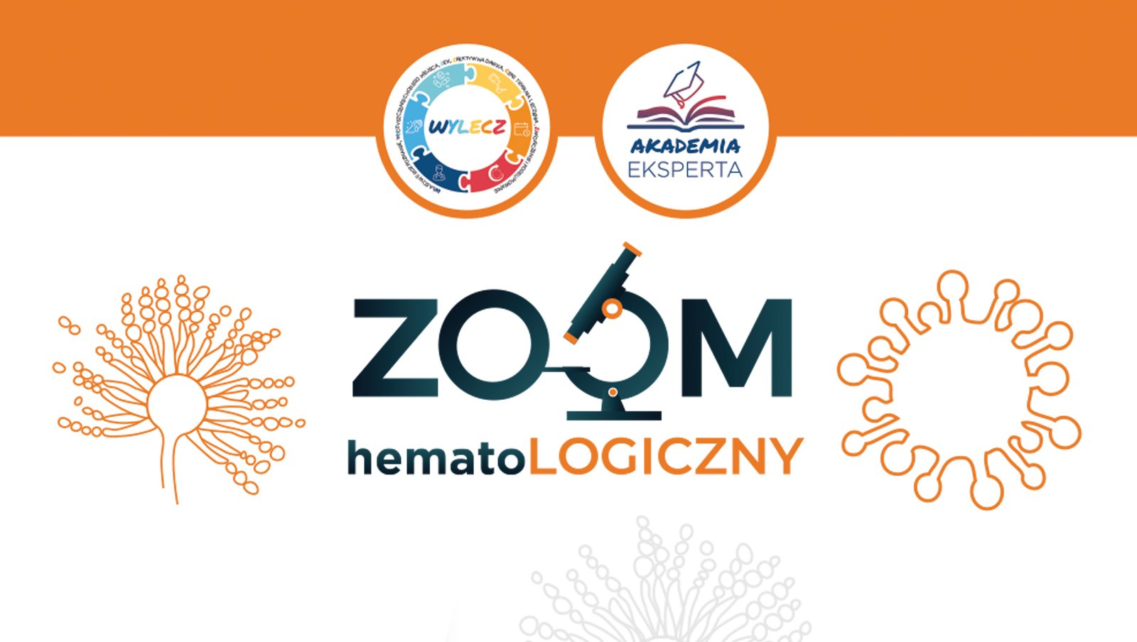 Coroczny ZOOM Hematologiczny. Edycja 2023